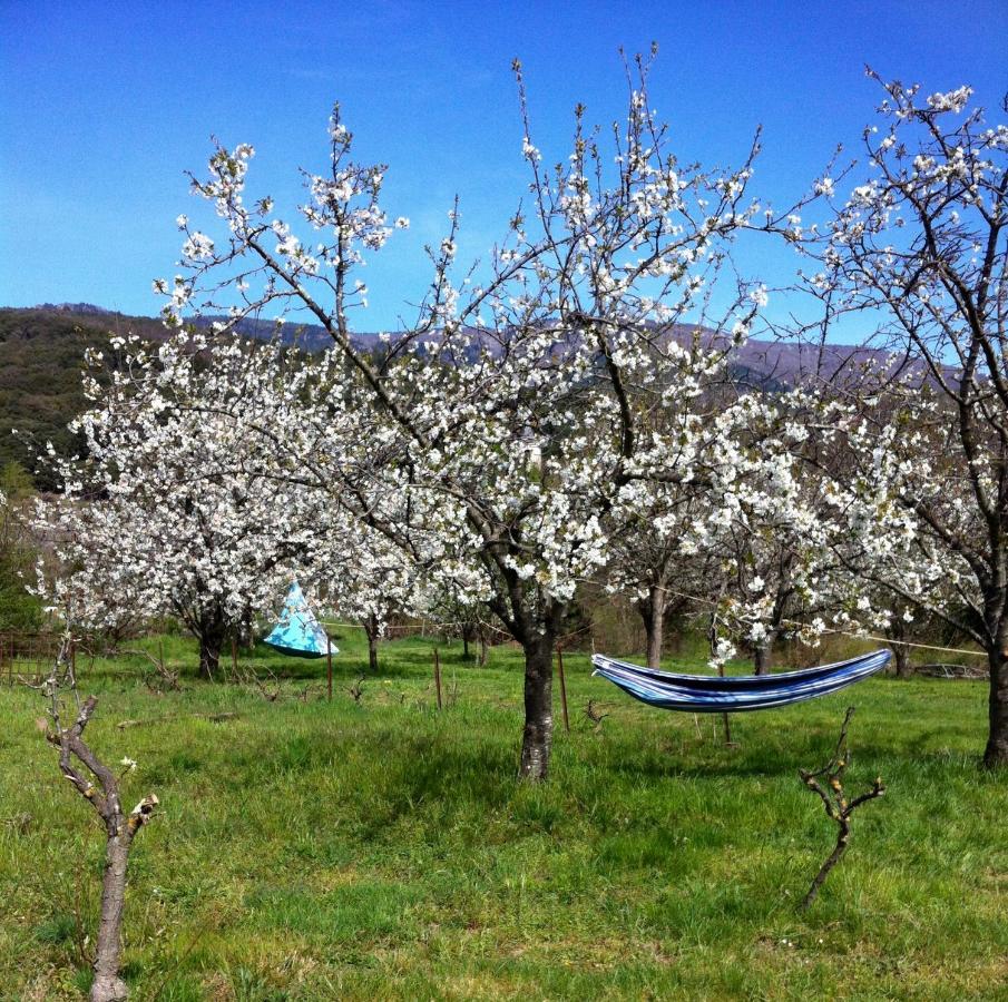 Le Moulin D'Arcas. Bed & Breakfast Premian ภายนอก รูปภาพ